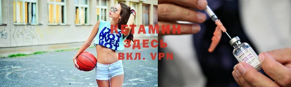 гидра Алексеевка