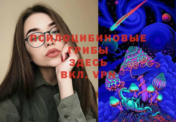 круглые Алзамай