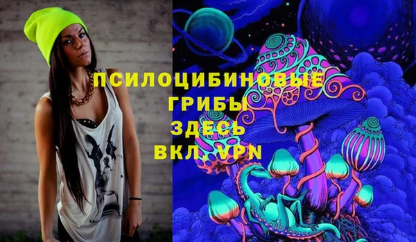 гидра Алексеевка