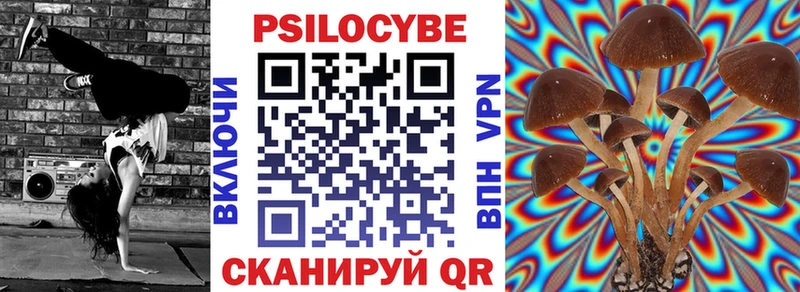 Галлюциногенные грибы Psilocybine cubensis  omg ССЫЛКА  Комсомольск  магазин продажи  